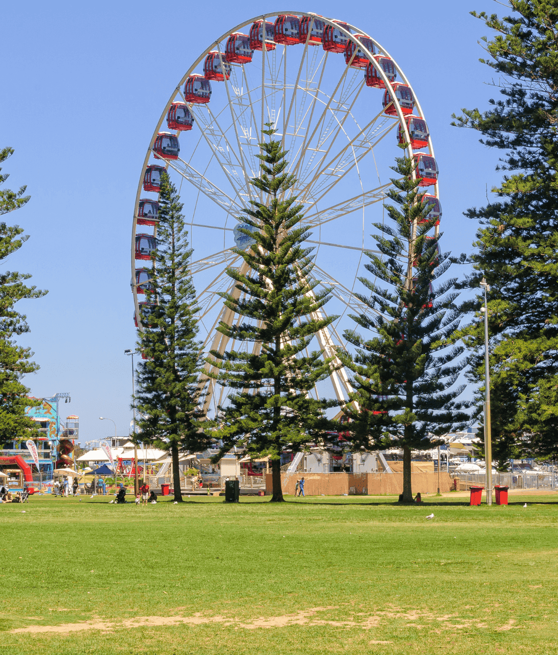 Fremantle Ferris Wheel to represent Aussie Web Fix's Perth customer base