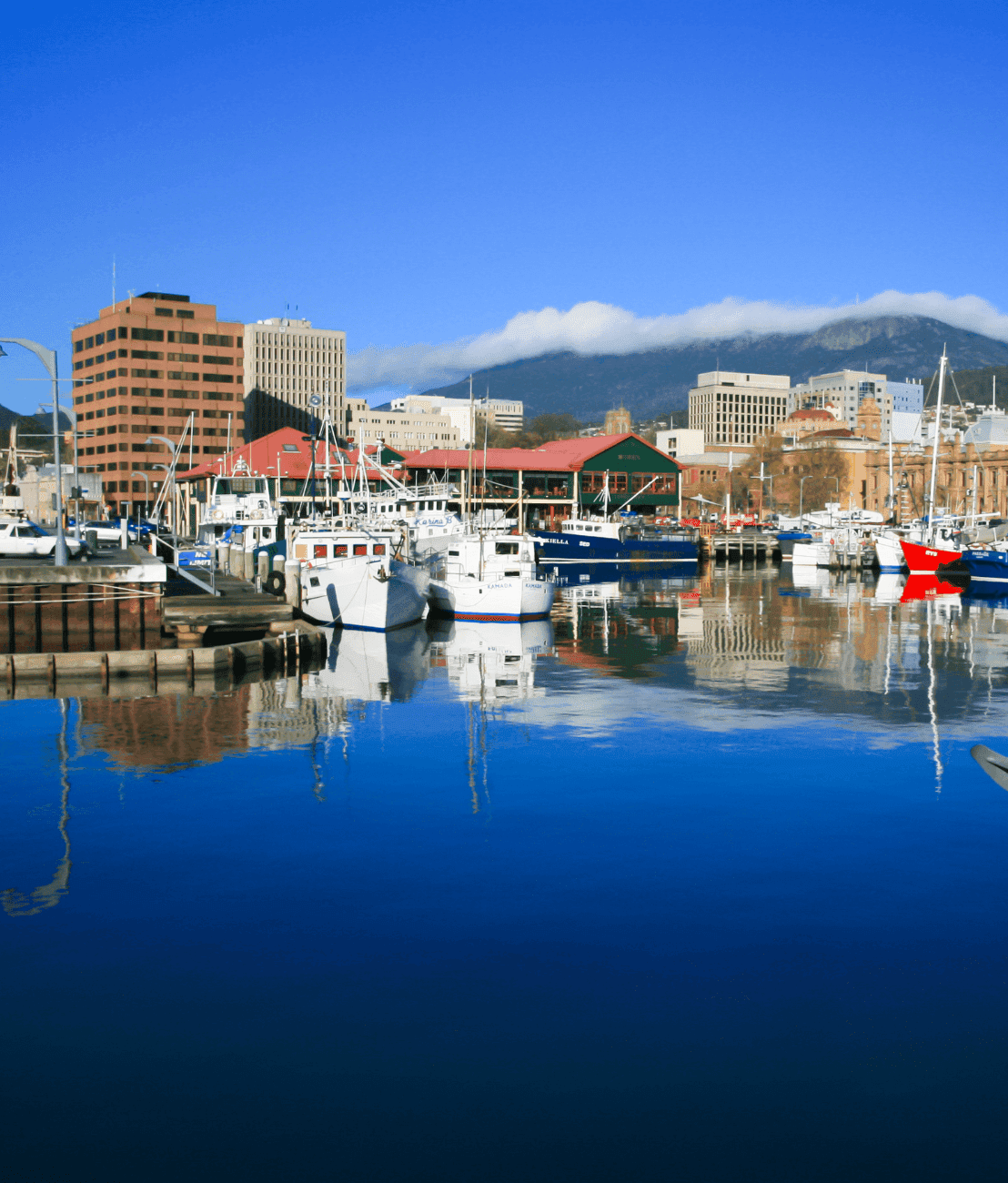 Perth Foreshore representing Aussie Web Fix's Perth customer base