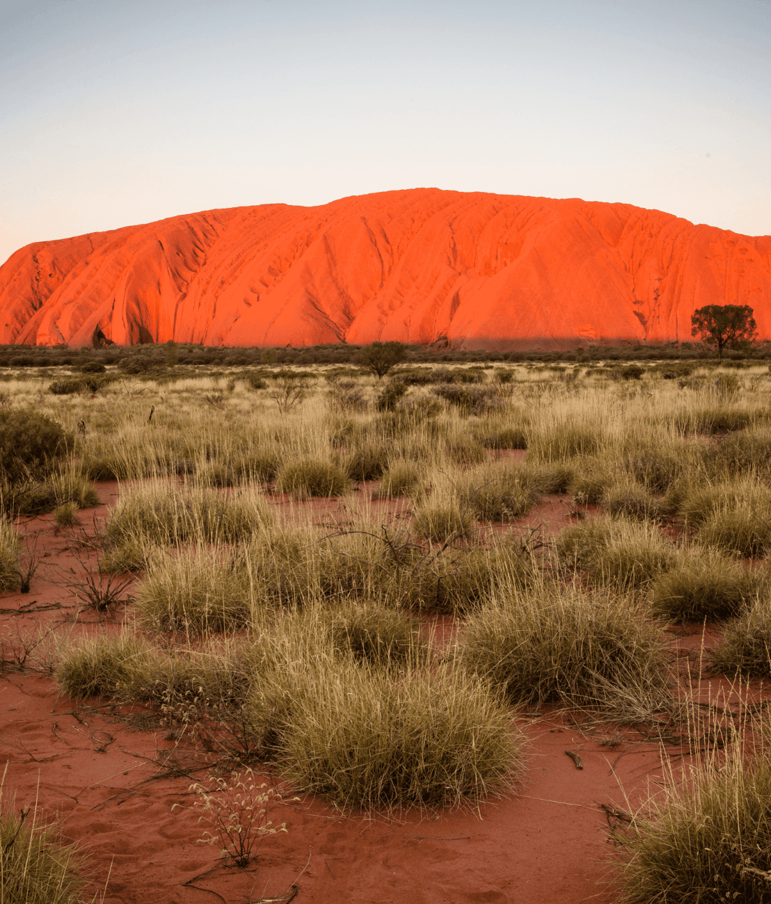 Uluru, representing Aussie Web Fix's NT customer base